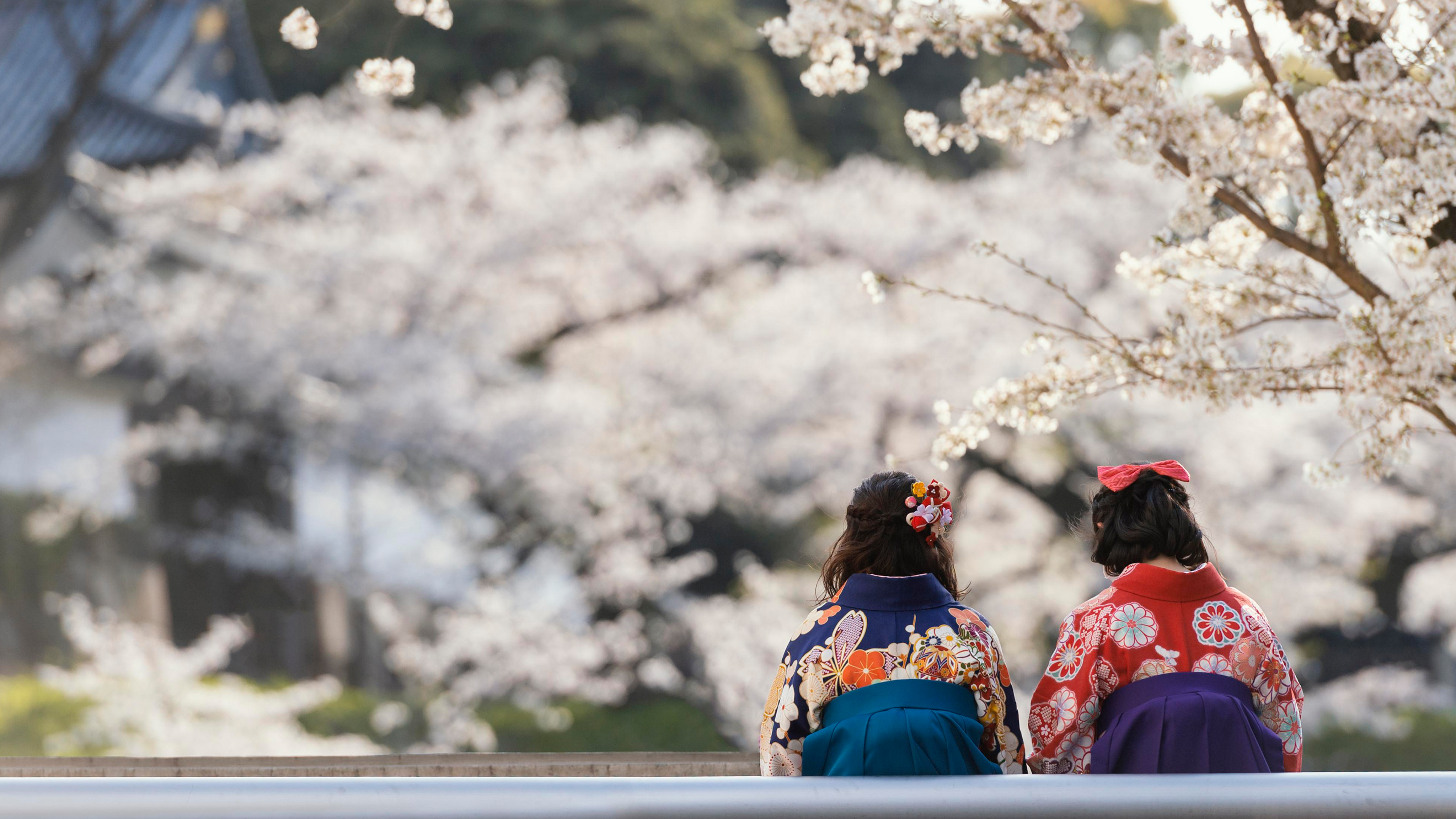 雪原と遊ぶ・近江伝説の旅