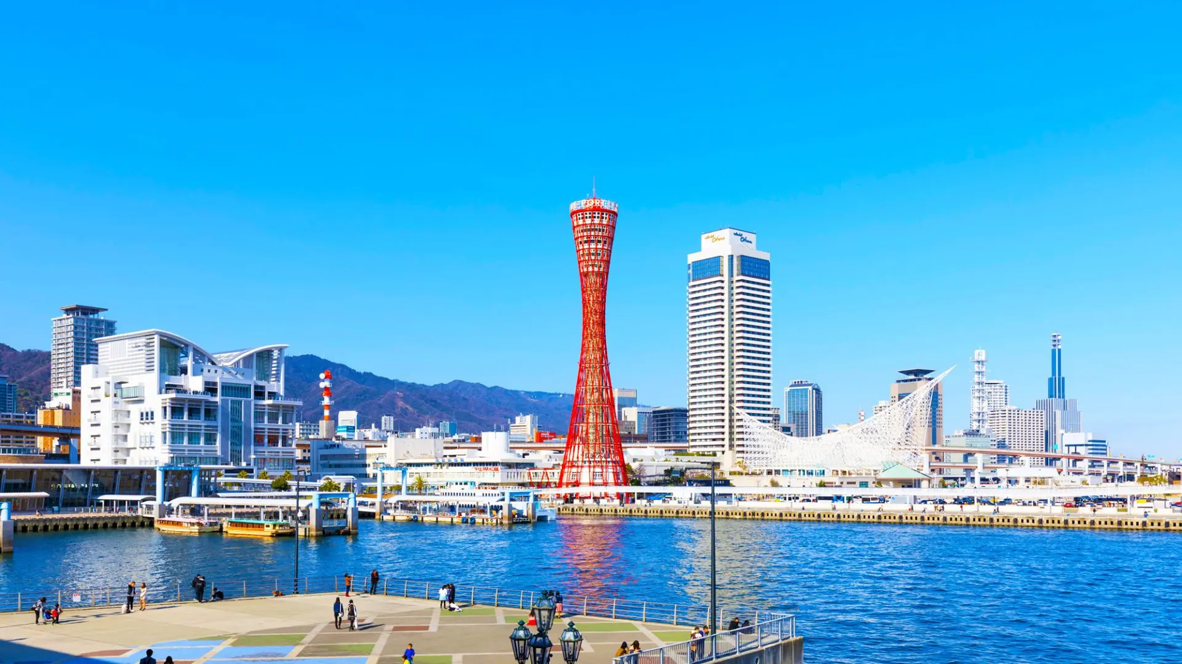 海の京都・7日間プライベートトリップ